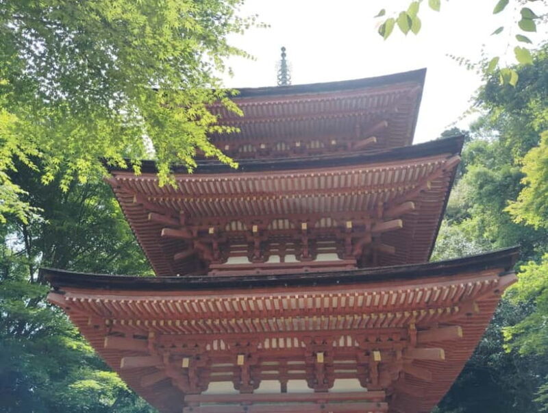 Southern Kyoto: Journey to Jruri-ji & Its Pure Land Garden - FAQ: Your Questions About the Tour