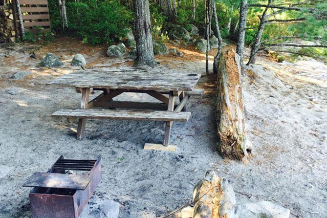 Southern Lakes Canoe Trip - 4 Day - The Itinerary in Detail: What to Expect from Each Day