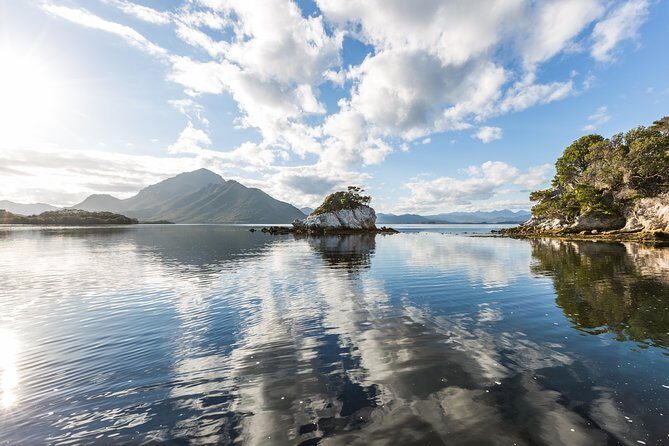 Southwest Tasmania Wilderness Experience: Fly Cruise and Walk Including Lunch - The Bush Walk: Connecting with the Landscape