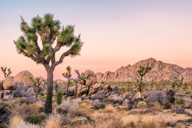 Southwest USA Discovery: Ultimate Self-Guided Road Trip Bundle - The Sum Up
