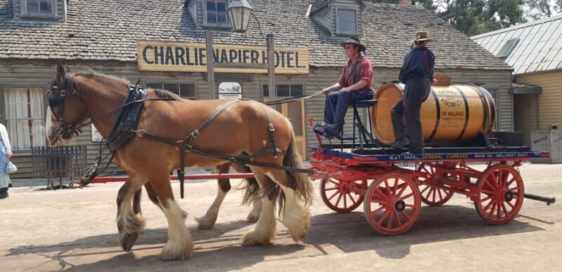 Sovereign Hill & 12 Apostle Private Tour Up to 14 pax - Exploring the Itinerary: What to Expect