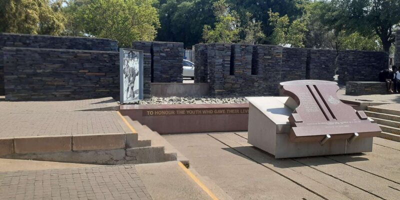 Soweto and apartheid museum tour(Half-day) - The Sum Up: Is This Tour Right for You?