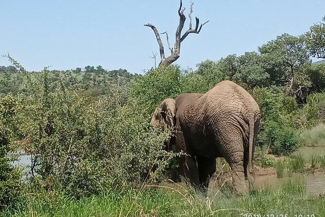 Soweto & Apartheid Museum, Cultural Village, Wildlife and Safari - Final Thoughts