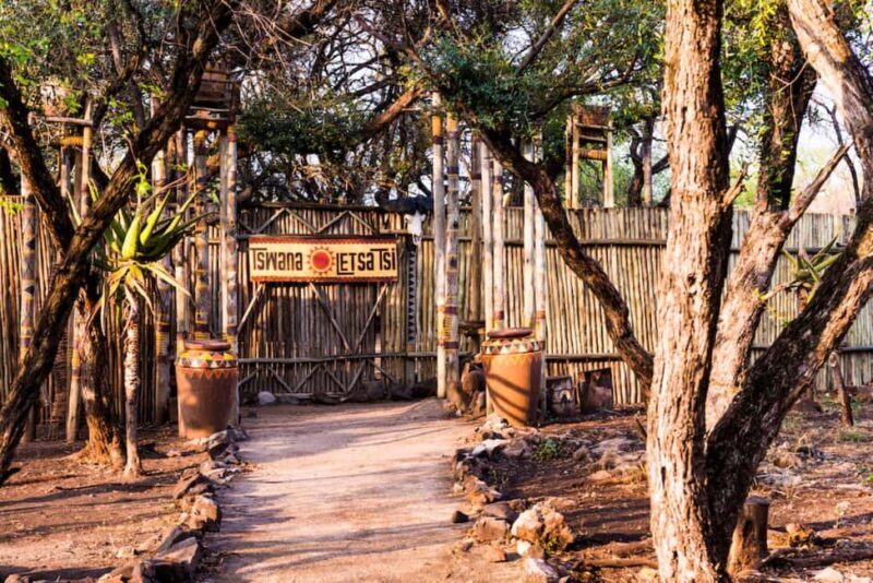 Soweto, Cradle of Mankind, Lions Park & Lesedi Cultural Vill - Who Will Love This Tour?