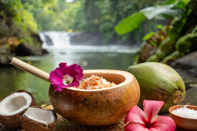 SPA day surrounded by nature, well-being rituals - Key Points