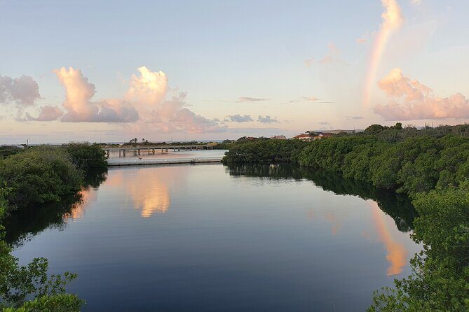 Spanish Lagoon Mangrove Trail & Bird Watching - An In-Depth Look at the Tour Experience