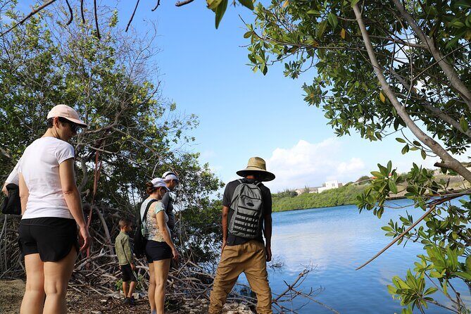 Spanish Lagoon Mangrove Trail & Bird Watching - Final Thoughts