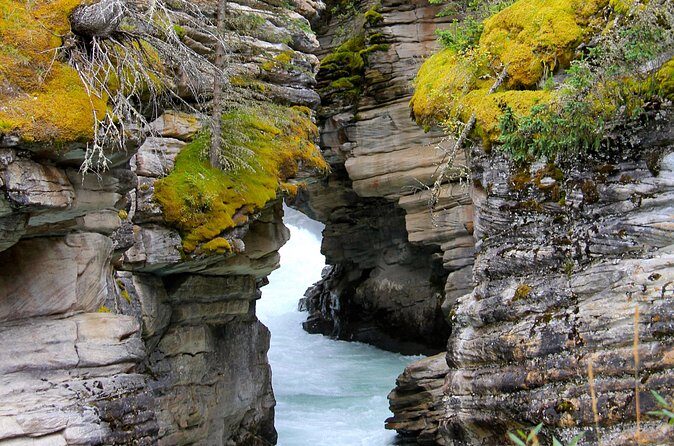 Spanish Private Tour to Banff and Lake Louise Canada from Calgary - Who Should Book This Tour?
