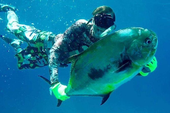 Spearfishing Playa del Carmen or Tulum - The Sum Up: Is It For You?