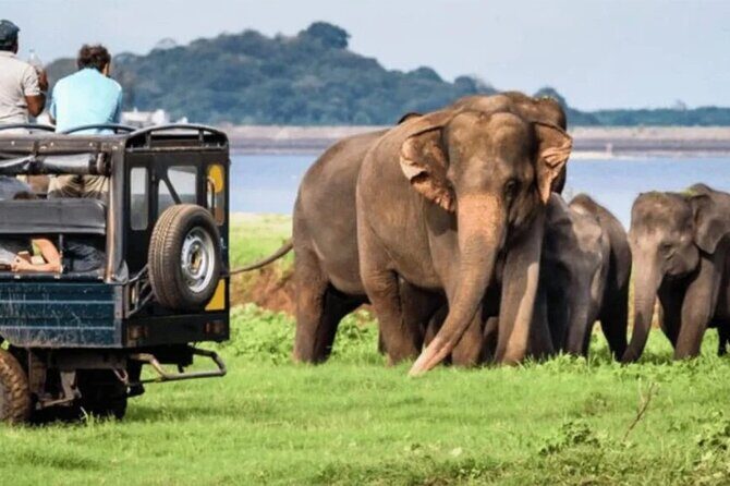 Special Full Day Safari Yala National Park - 04:30 AM to 06:00 PM - Frequently Asked Questions