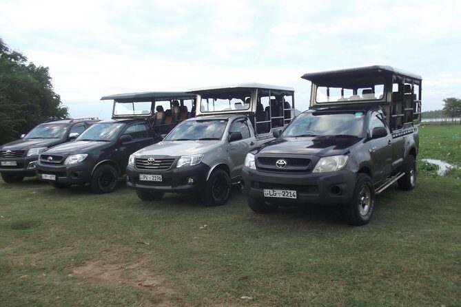 Special leopards safari Yala National park - 04.30 am to 11.30 am - Key Points