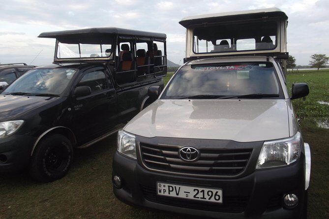 Special Leopards safari - Yala National park - 04.30 am to 11.30 am - Key Points