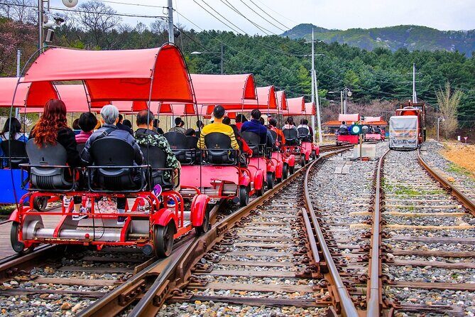 Special Private Tour Nami Island, Rail Bike, Petite France - The Sum Up
