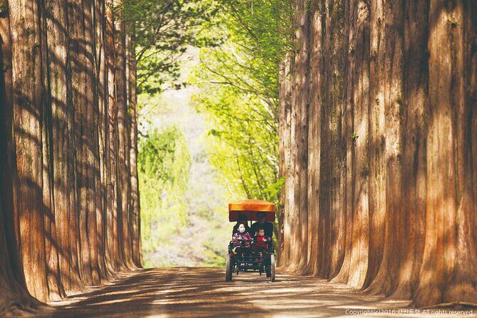 Special Private Tour Nami Island, Rail Bike, Petite France - FAQ