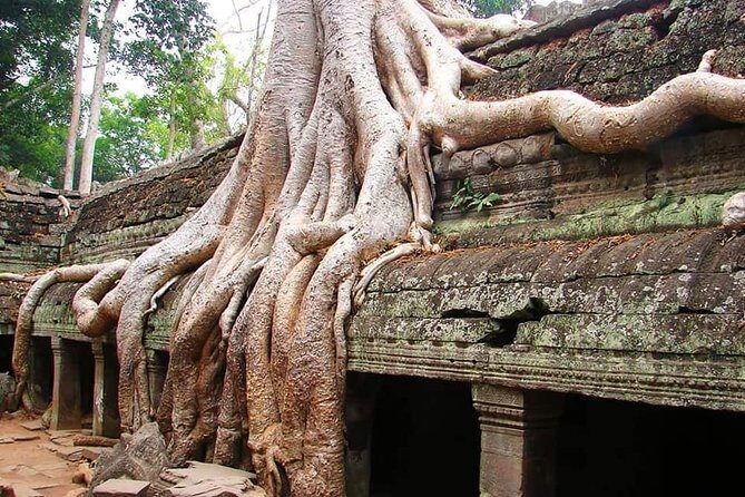 Special Three Days Angkor Tour - What’s Included and What You Should Budget For