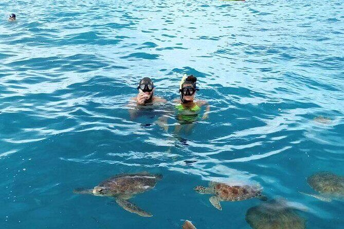 Spectacular experience with sea turtles - Environmental and Ethical Considerations