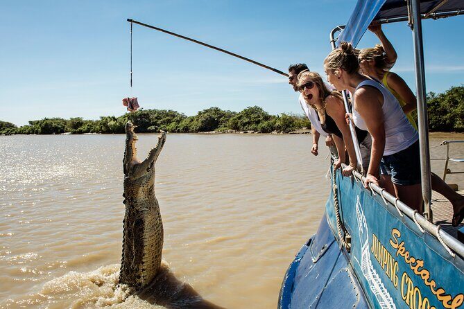 Spectacular Jumping Crocodile Cruise with Darwin Transfer Bus - The Sum Up: Who Should Consider This Tour?