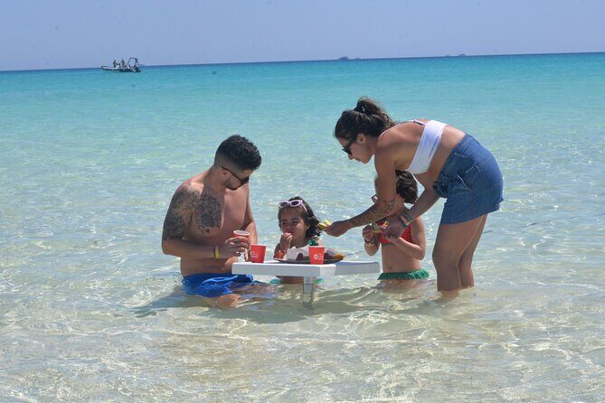 Speed Boat 4 Hours Swim Dolphin, Orange Island ,Snorkeling - FAQ