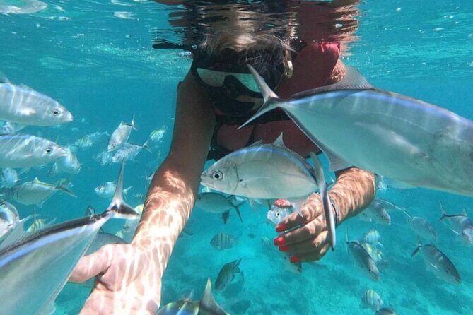 Speed Boat and Snorkeling in Punta Cana Bavaro - FAQ