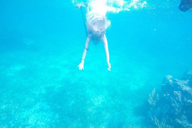 Speed Boat & Snorkel Tour with transportation ( only Cancun zone area) - The Practicalities and Considerations