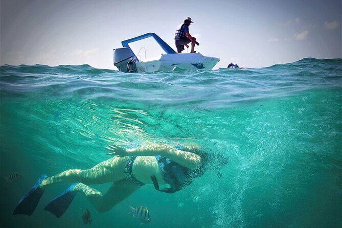 Speed Boat & Snorkel Tour with transportation ( only Cancun zone area) - The Sum Up