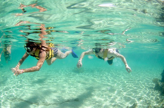 Speed Through Cancun: Explore Mangroves, Reefs & MUSA in One Tour - Detailed Breakdown of the Itinerary