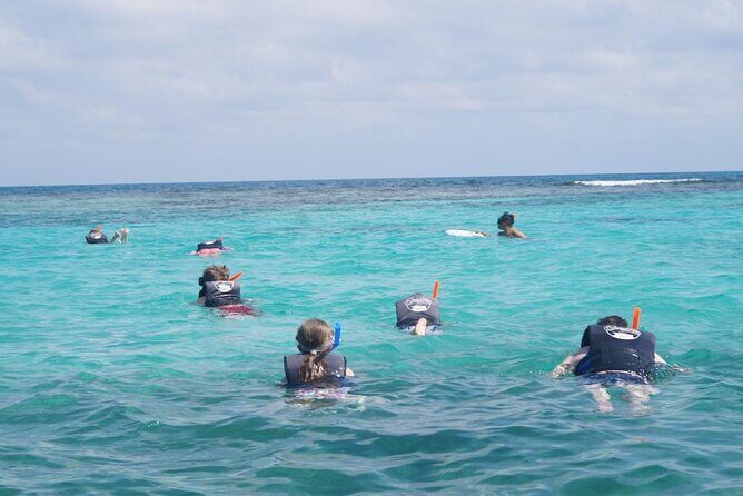 Speedboat Adventure and Snorkeling with transportation in Cancun - Who Should Consider This Tour?