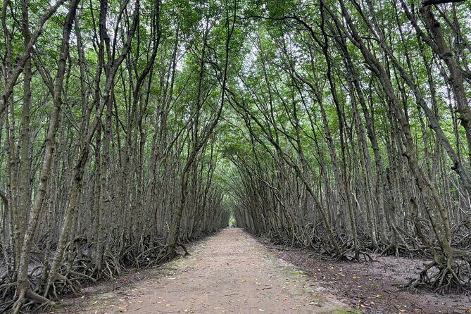 Speedboat Adventure: Can Gio Mangrove, Monkey Island & Crocodiles - FAQs