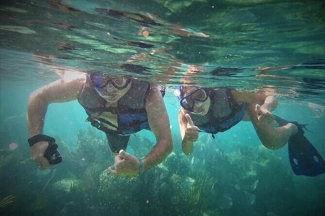 Speedboat and Snorkel Cancun Adventure with Transportation - The Sum Up