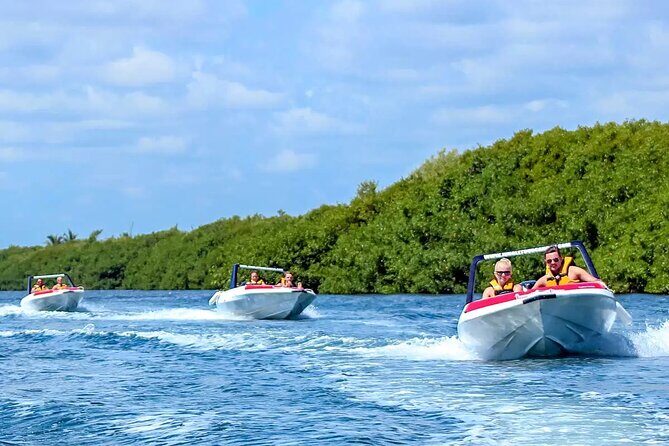 SpeedBoat Jungle Tour + Snorkel Experience in Cancun - Authentic Experiences and Review Highlights