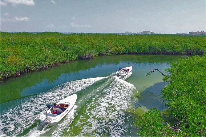 SpeedBoat Jungle Tour + Snorkel Experience in Cancun - Who Should Consider This Tour?