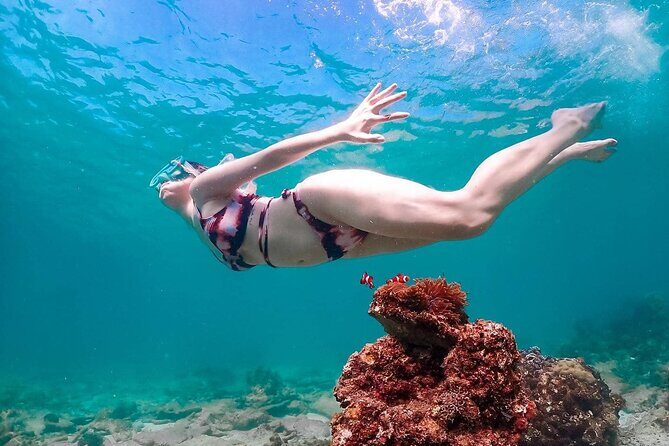 Speedboat Tour From Pattaya to Koh Larn Coral & Sak Island - FAQs