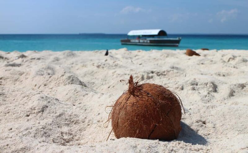 Spice farm and nakupenda paradise sandbank with lunch. - Transportation, Duration, and Group Size