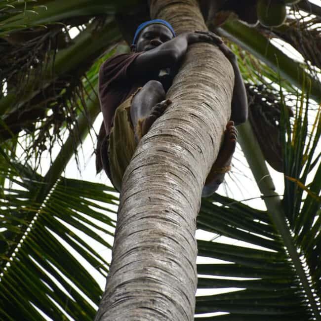 Spice Farm, Stone Town, Prison Island & Nakupenda sand bank - First Impressions and Overview