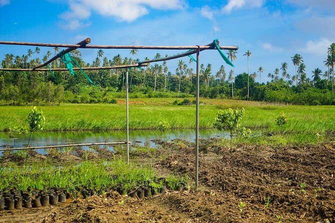Spice farm walking tour with Zanzibar fruits tasting - Key Points