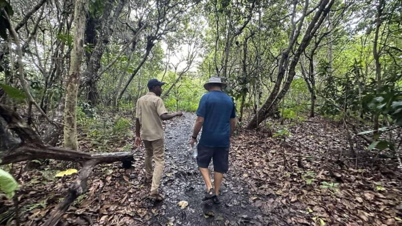 Spice farm,jozani forest and mtende beach - Key Points
