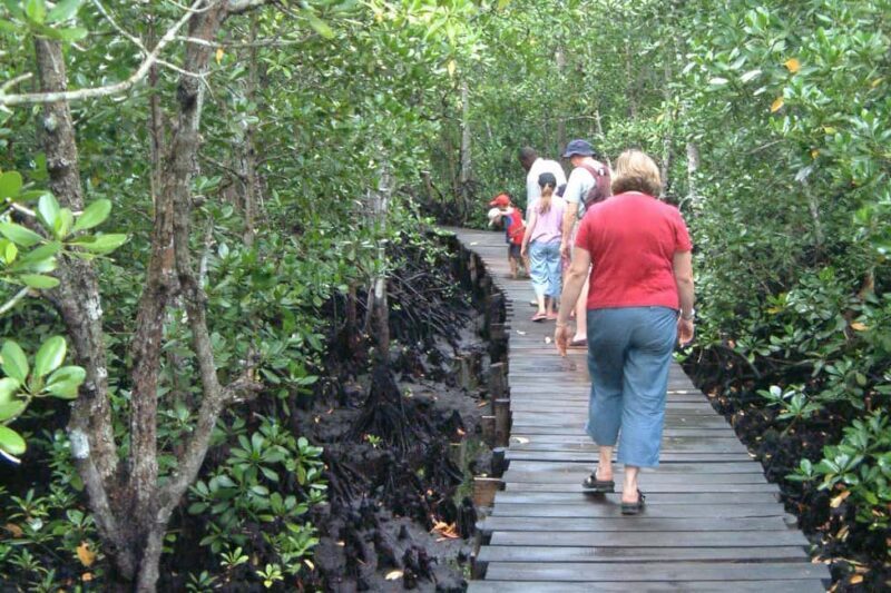 Spice farm,jozani forest and mtende beach - Authentic Experiences and Practical Insights