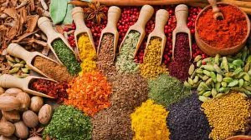 Spice tour, prison island, stone town tour & night market. - Who Is This Tour Best For?