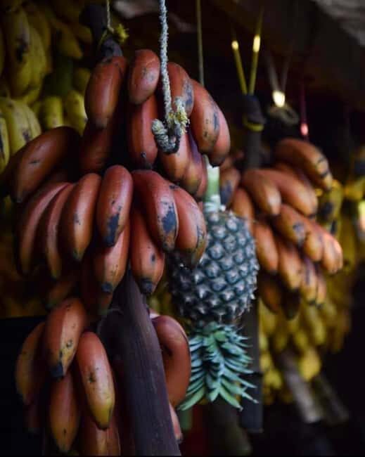 Spice tour+ Stone town walking tour - Key Points