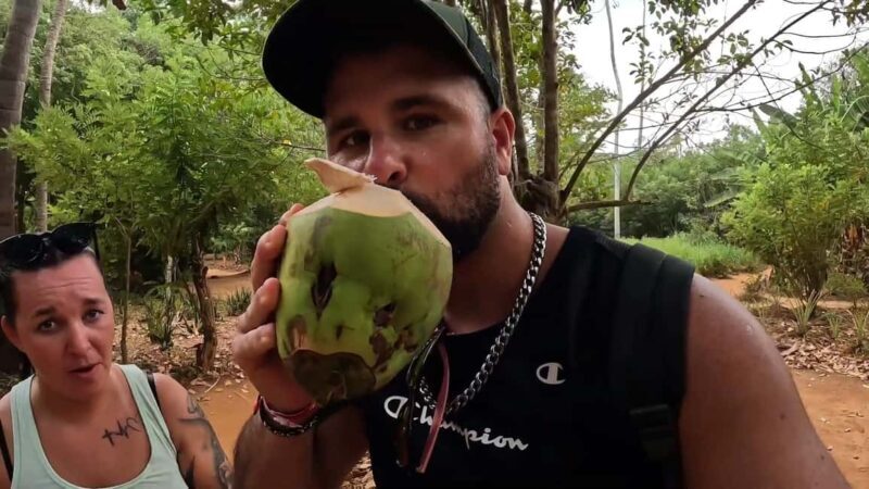Spice tour - Value and Overall Impression