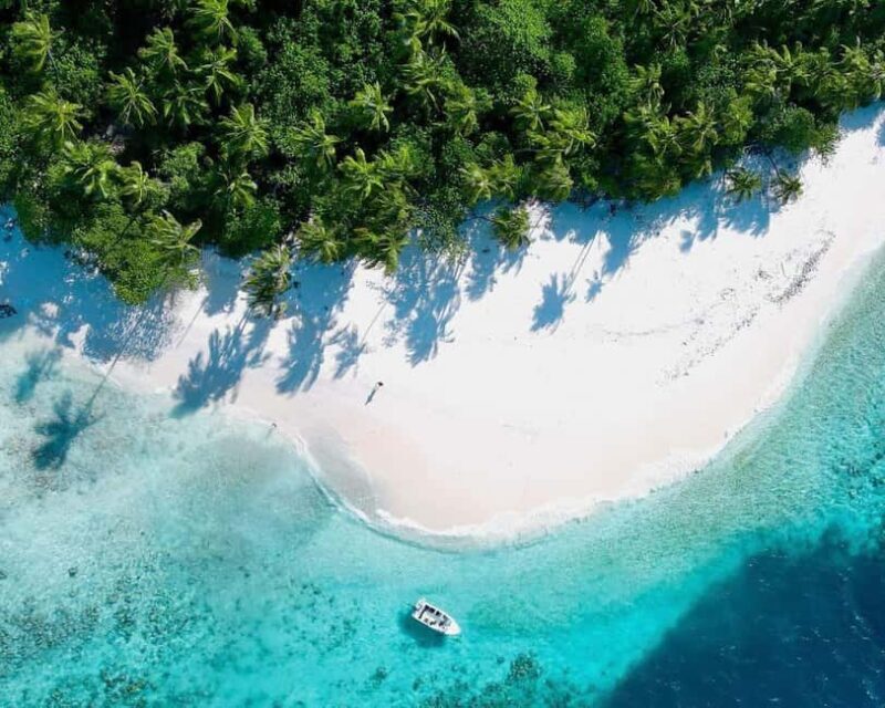 Spice Tour with Lunch, Prison Island Tour, Night Fish Market - Practical Details and Considerations