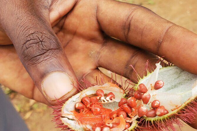 Spice Tour Zanzibar - Frequently Asked Questions