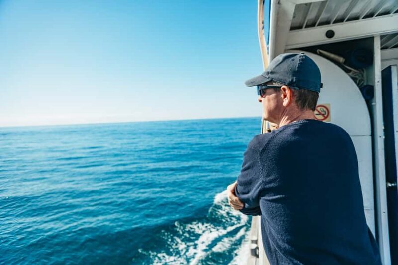 Spirit of Gold Coast 2.5-Hour Whale Watching Tour - Detailed Itinerary Breakdown