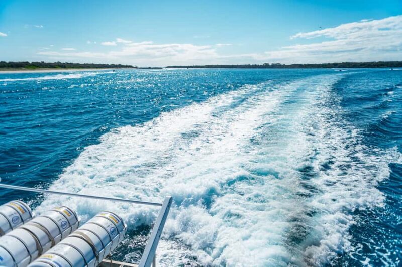 Spirit of Gold Coast 2.5-Hour Whale Watching Tour - The Authenticity and Educational Value