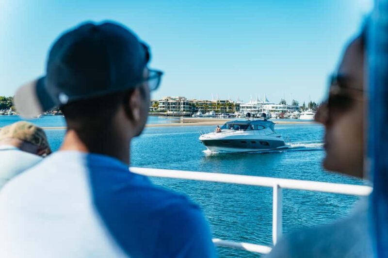 Spirit of Gold Coast 2.5-Hour Whale Watching Tour - Practical Tips for Travelers