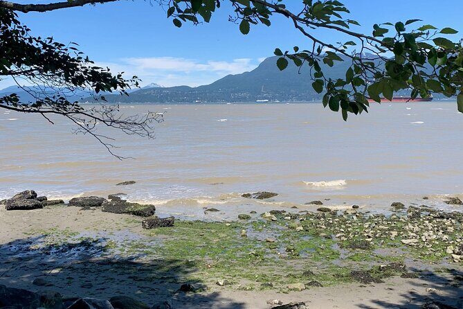 Spirit Of Vancouver Bike or Ebike Tour - The Sum Up
