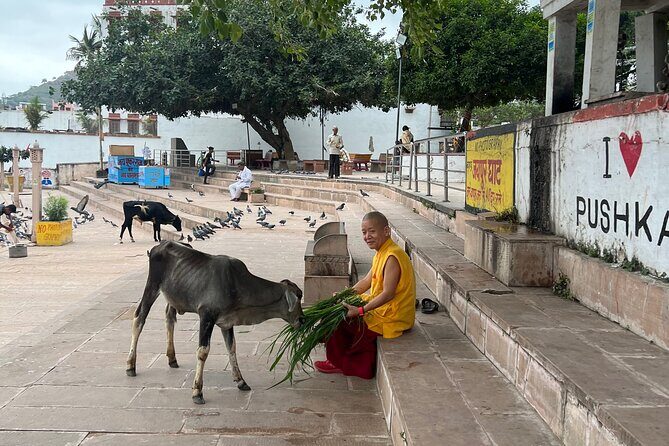 Spiritual City Walking Tour-THE Pushkar Route - FAQs