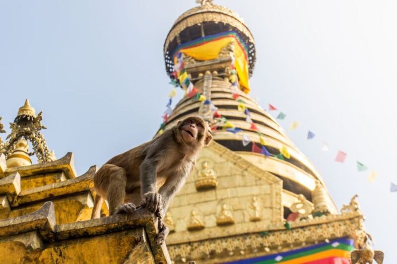 Spiritual Nepal: Expert insight into Multifaith Journey - The Practical Side: What’s Included & What’s Not