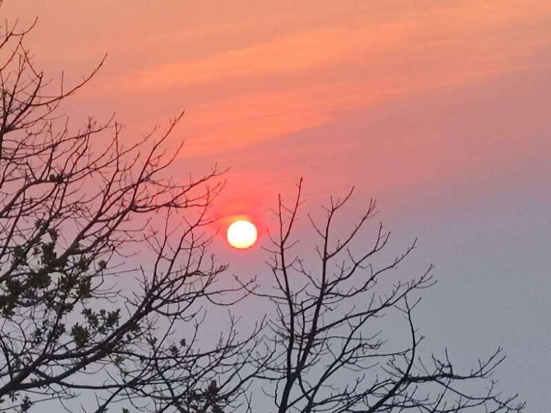 Spiritual Sunrise: Wat Doi Suthep, Pha Lat, Alms &Meditation - Participating in Alms Giving and Blessings