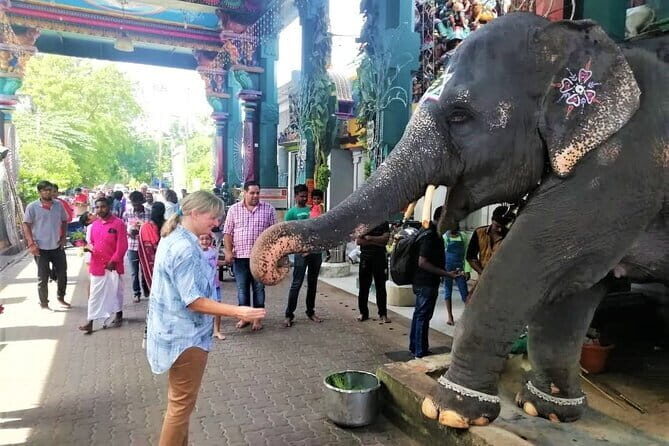 Spiritual Walk Tour Pondicherry - FAQ